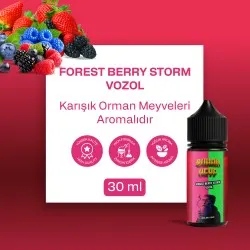 BHK VOZOL - Forest Berry Storm - 30ML Salt Likit