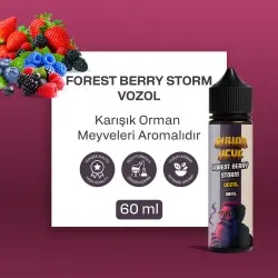 VOZOL - Forest Bery Storm 60ML