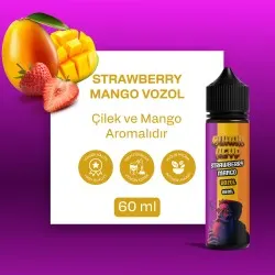 VOZOL - Strawbery Mango 60ML